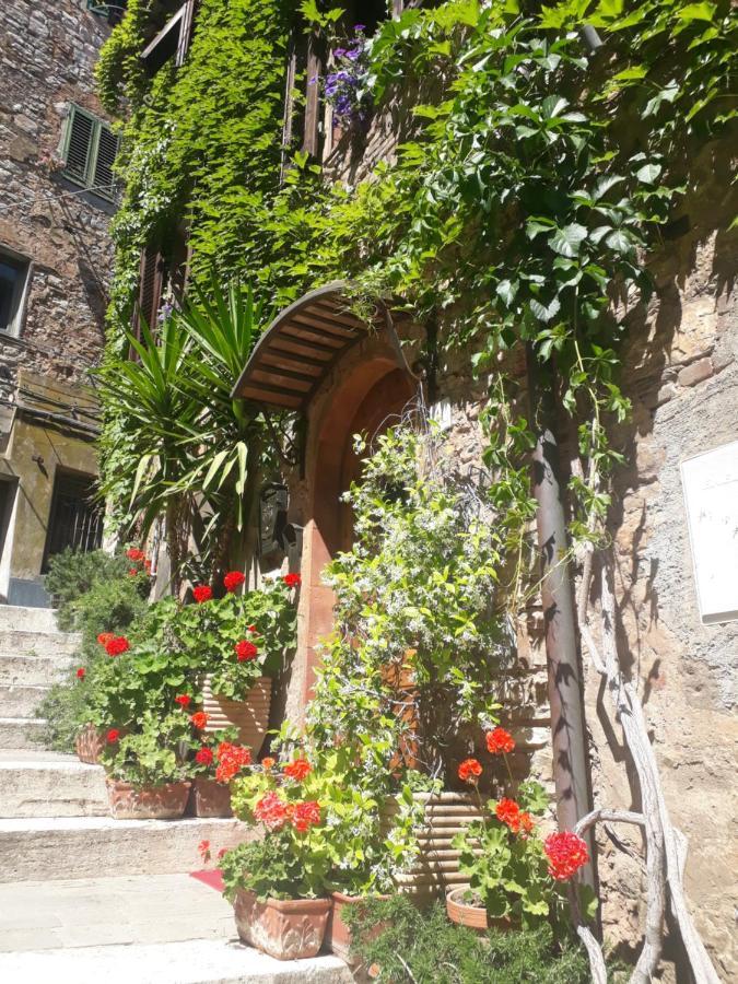 La Piazzetta Toscana B&B Кампілья-Мариттіма Екстер'єр фото